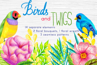 Birds and Twigs Graphic Collection: A Versatile Resource for Nature-Inspired Design Across Disciplines