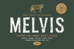 Melvis Family: Timeless Craft Meets Modern Clarity