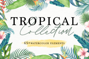Tropical Collection: Hand-Painted Watercolor Elements