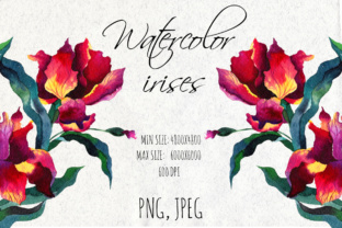 Watercolor Iris Flowers: High-Resolution Creative Assets