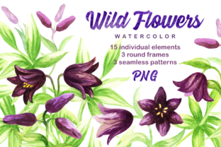 Wild Flowers. Watercolor Set.